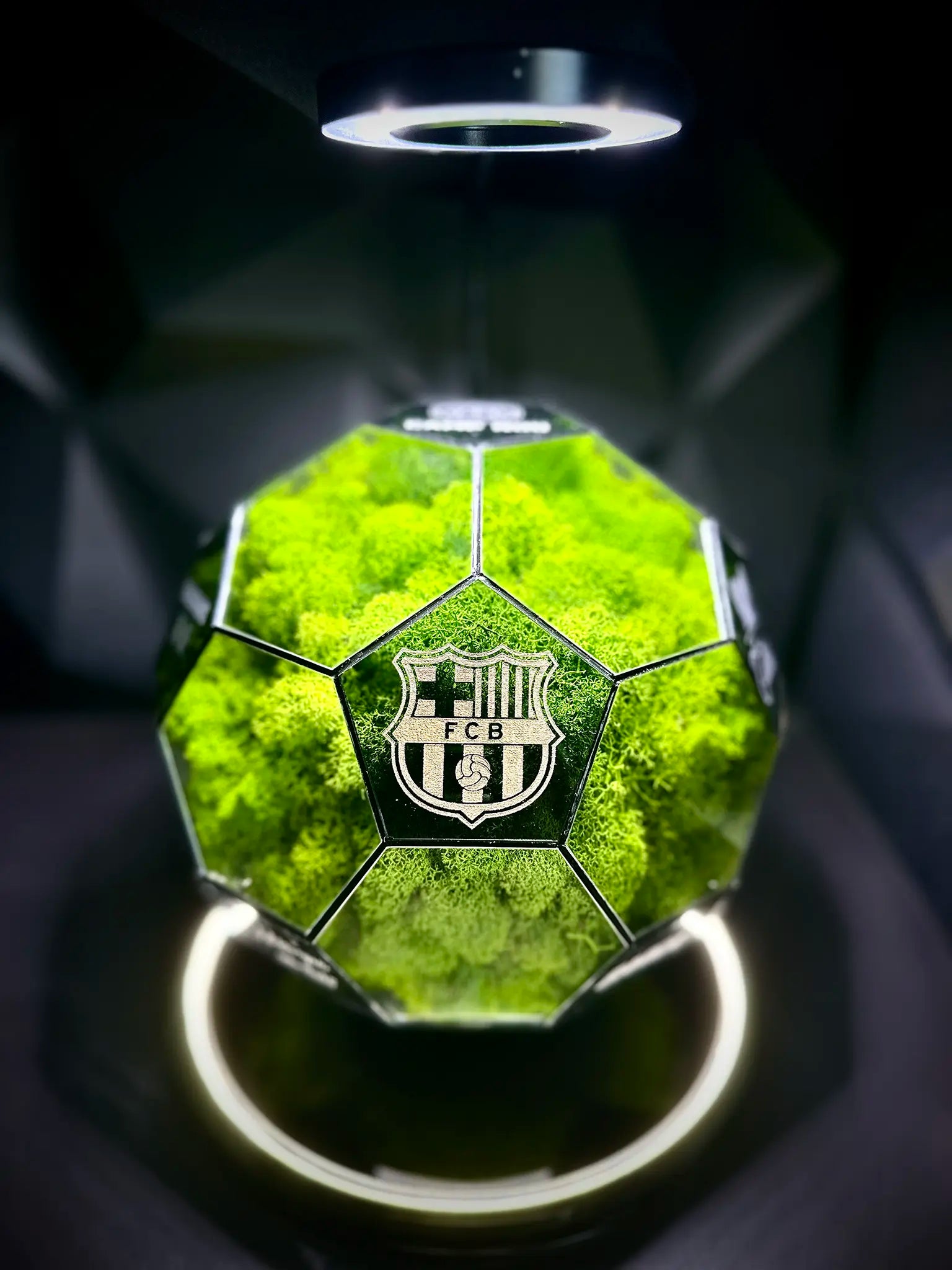 FC Barcelona ball (grass green)