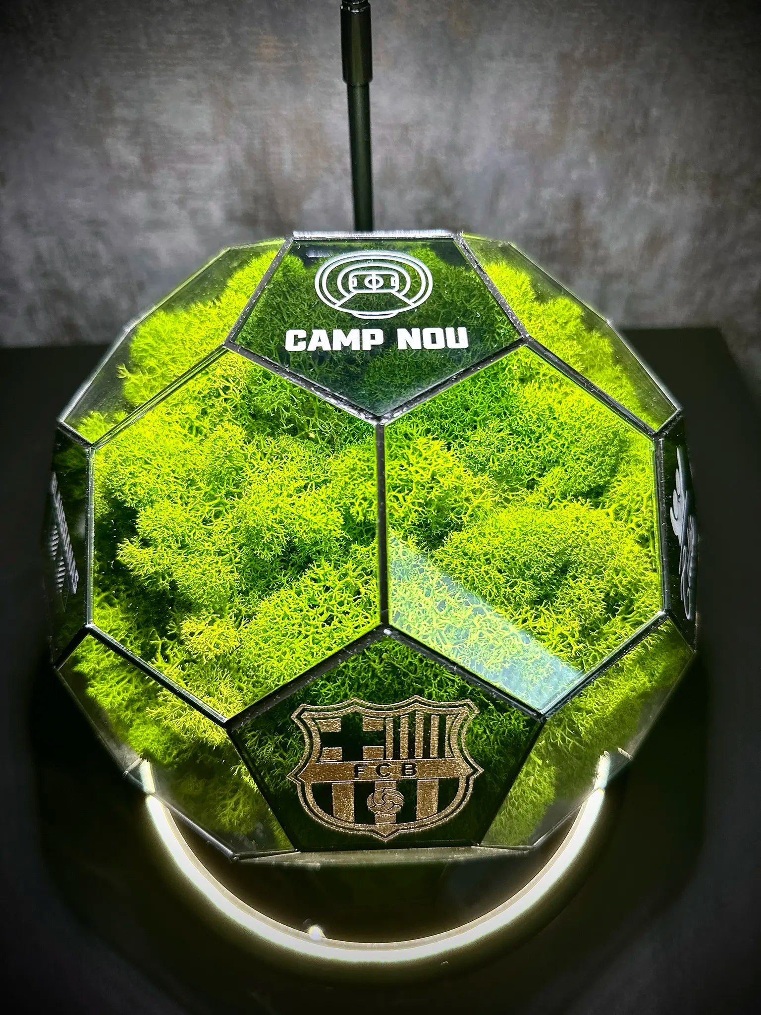 FC Barcelona ball (grass green)