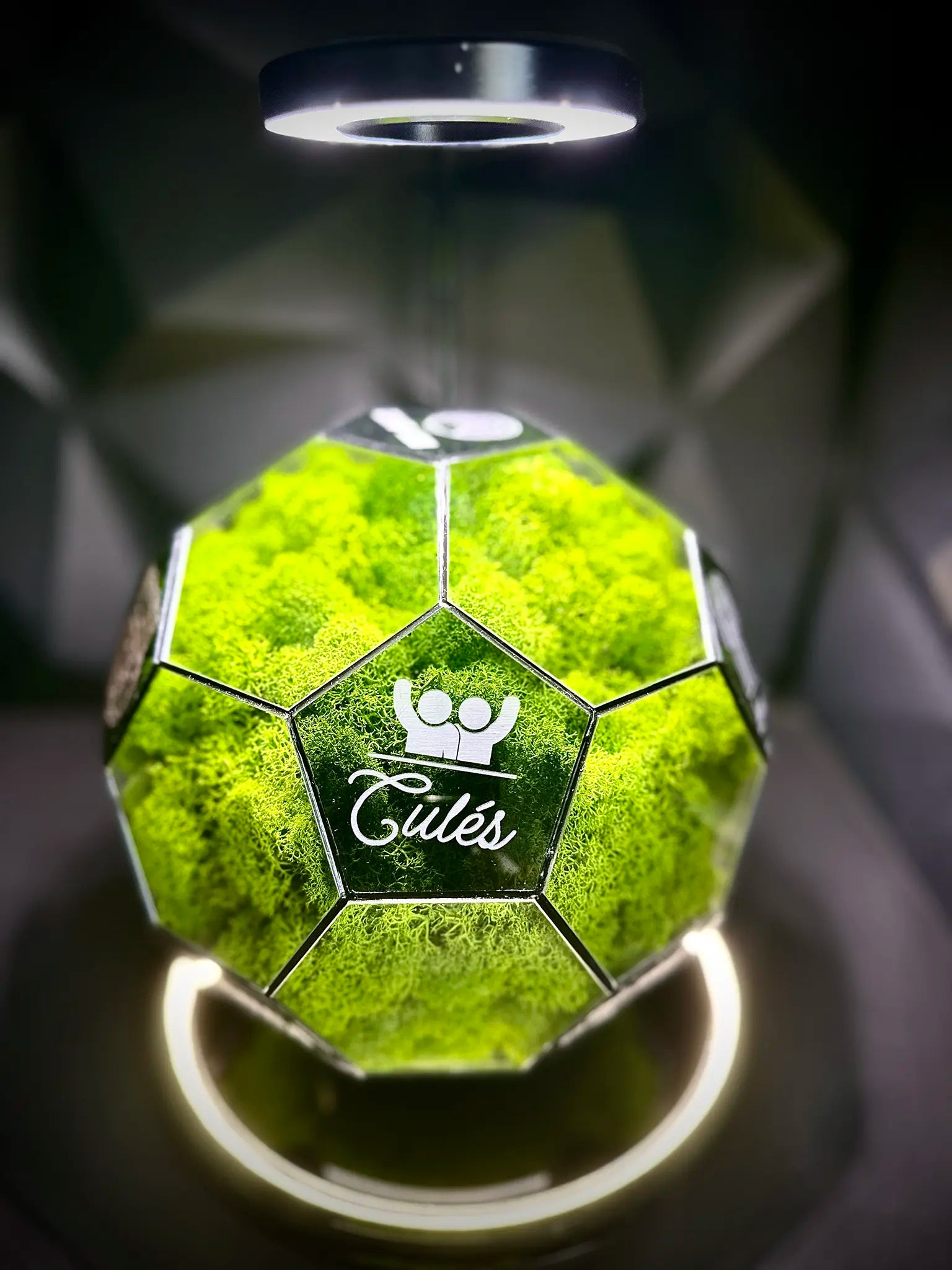 FC Barcelona ball (grass green)