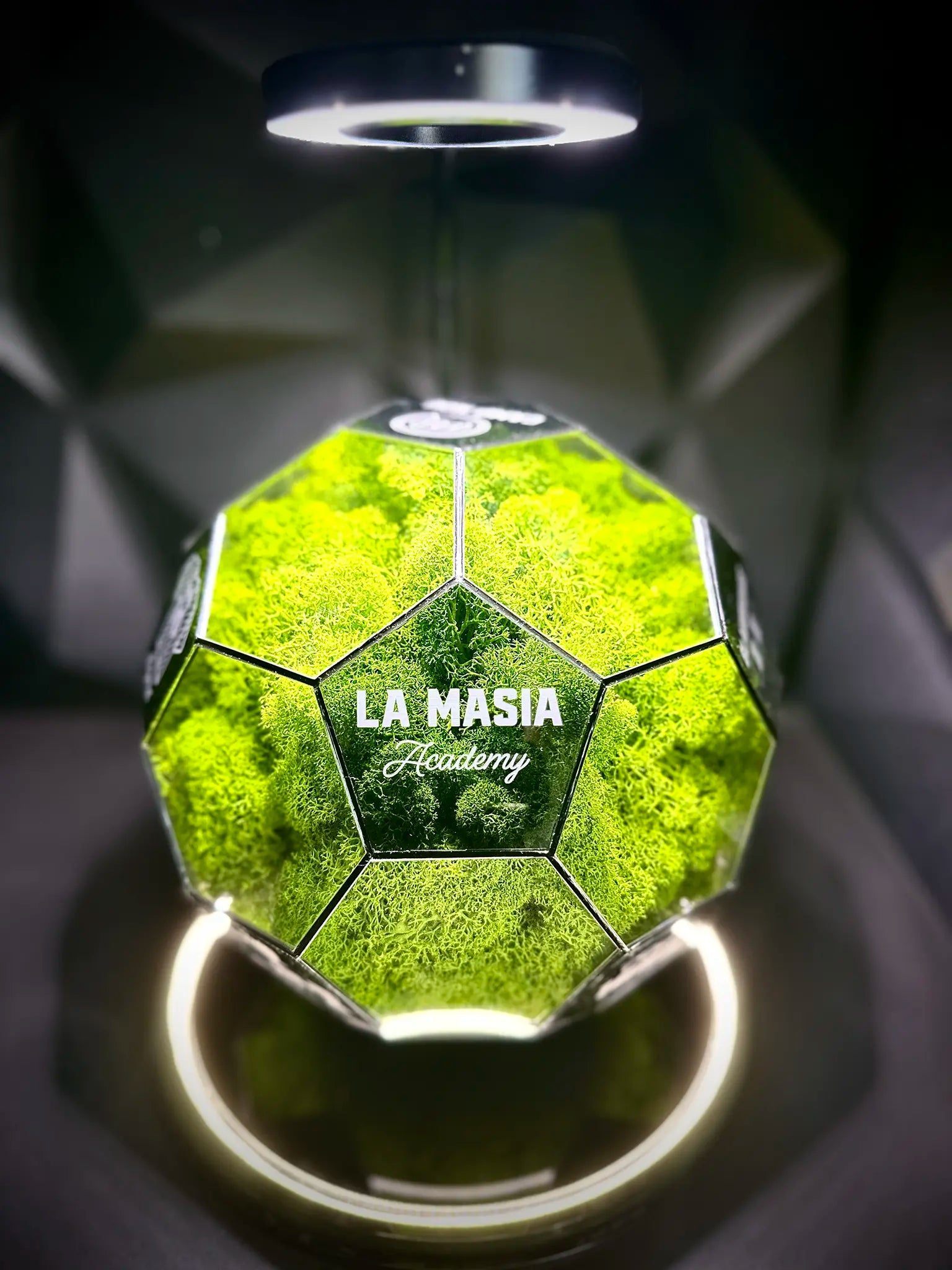 FC Barcelona ball (grass green)