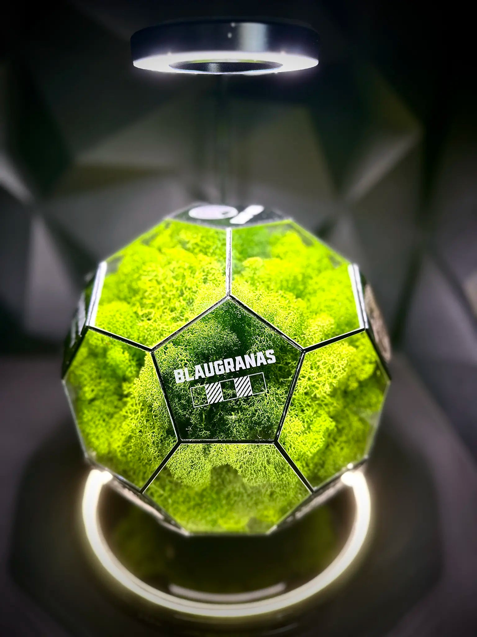 FC Barcelona ball (grass green)