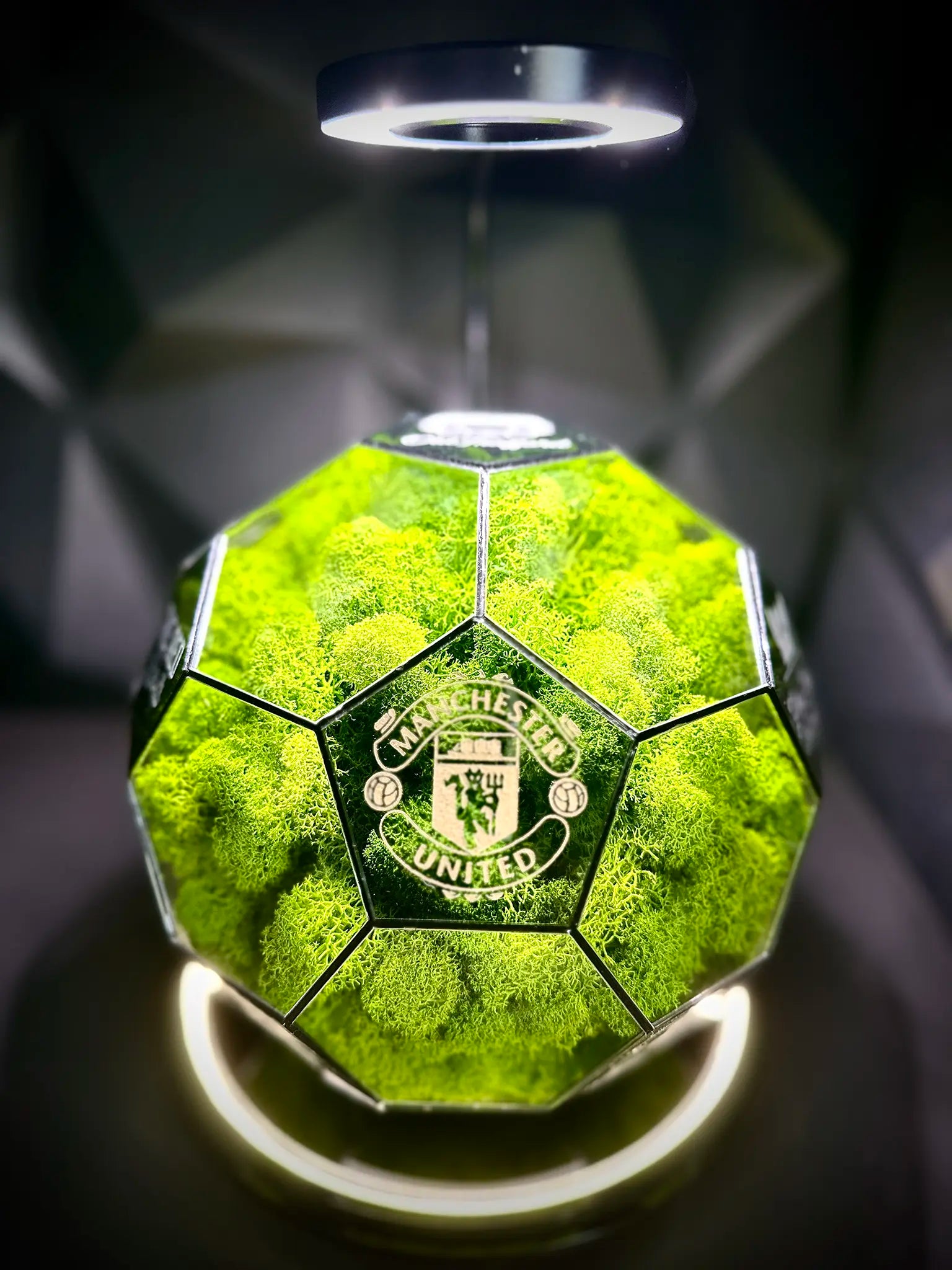 Manchester United F.C. ball (grass green)