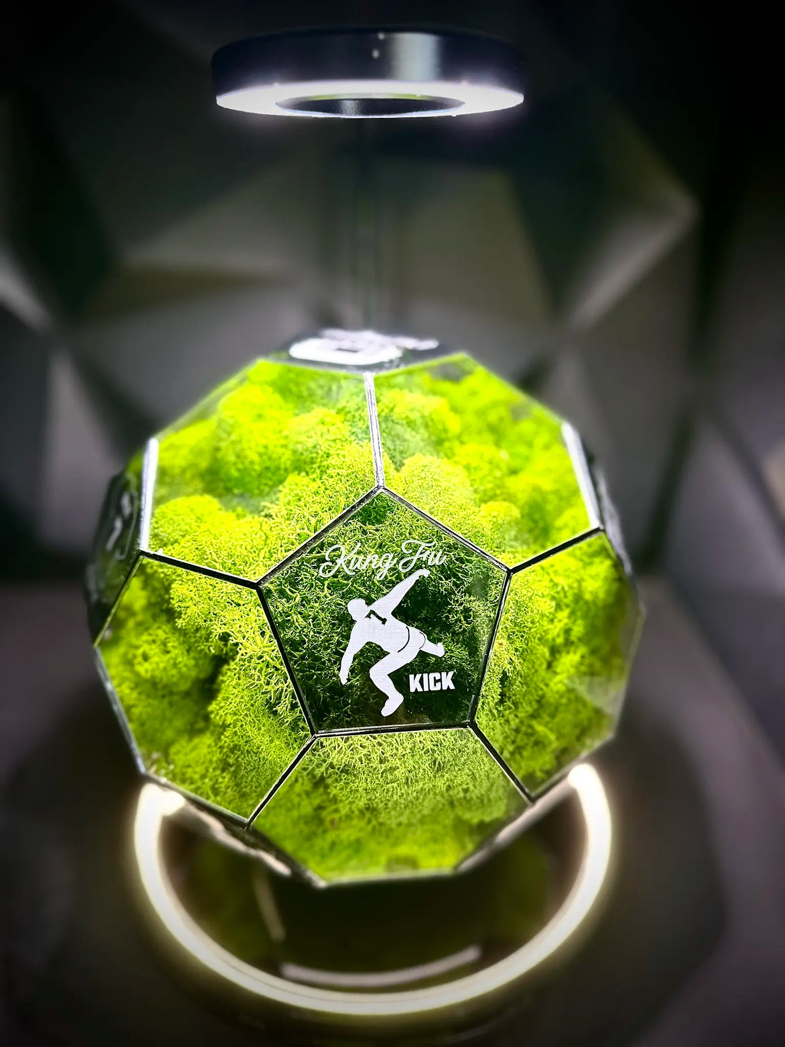 Manchester United F.C. ball (grass green)