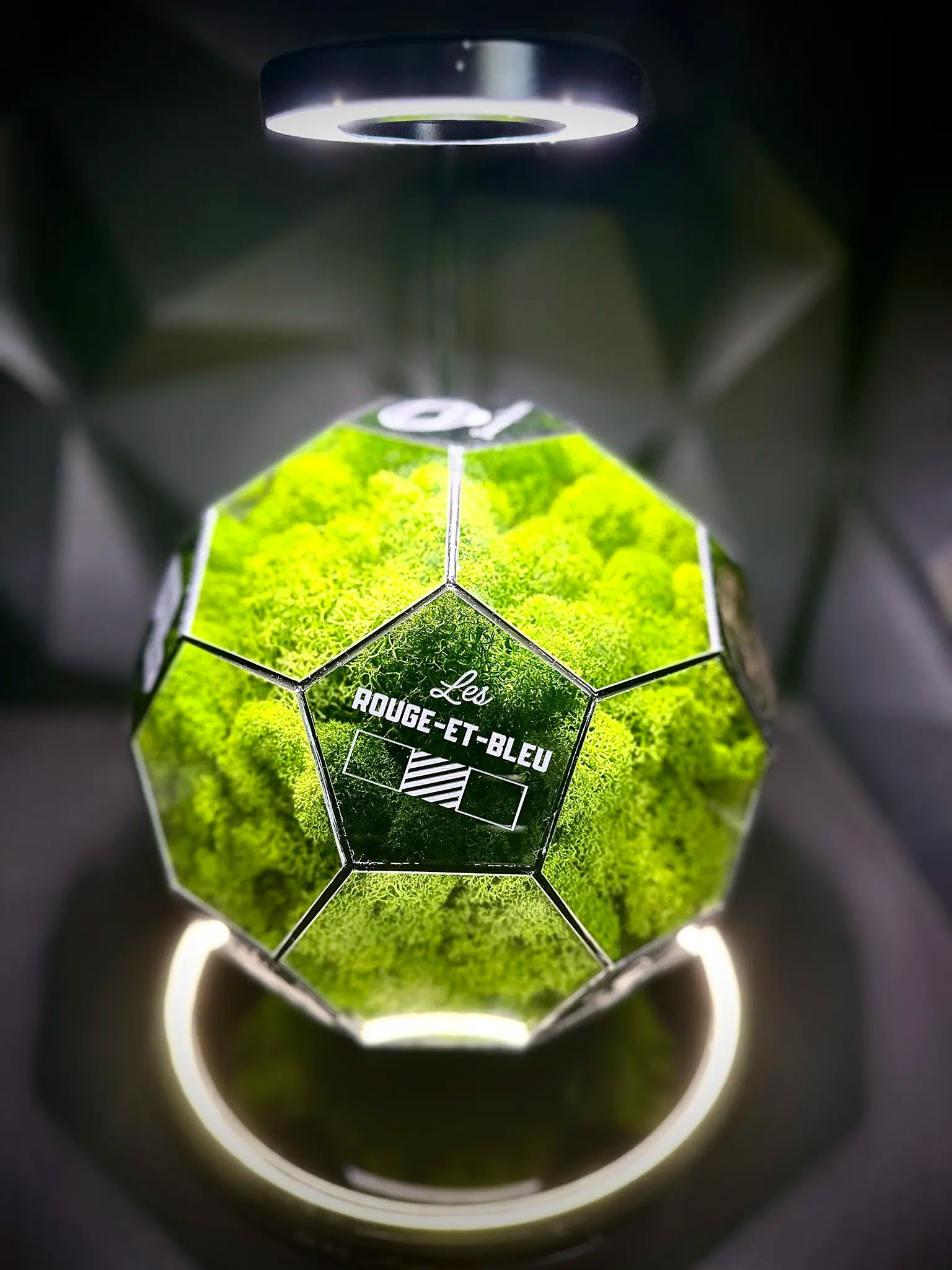 Paris Saint-Germain F.C. ball (grass green)
