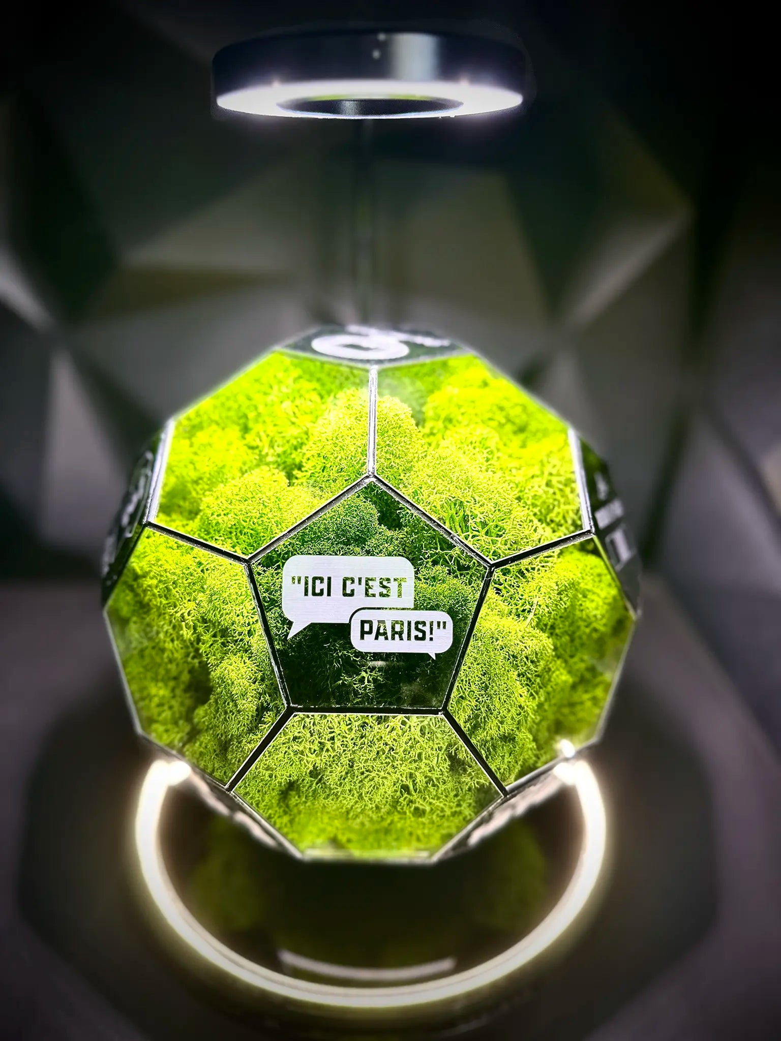 Paris Saint-Germain F.C. ball (grass green)
