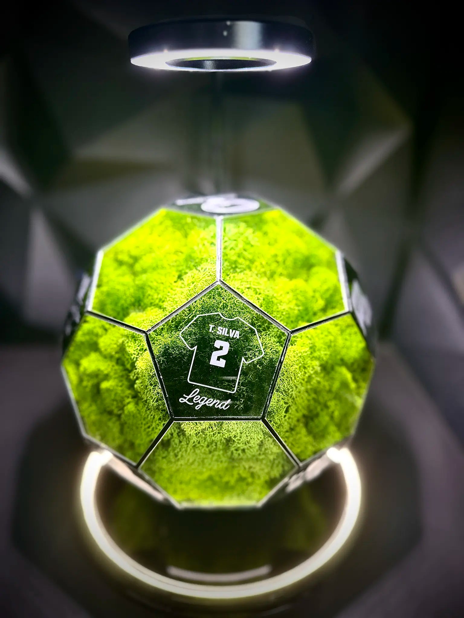Paris Saint-Germain F.C. ball (grass green)