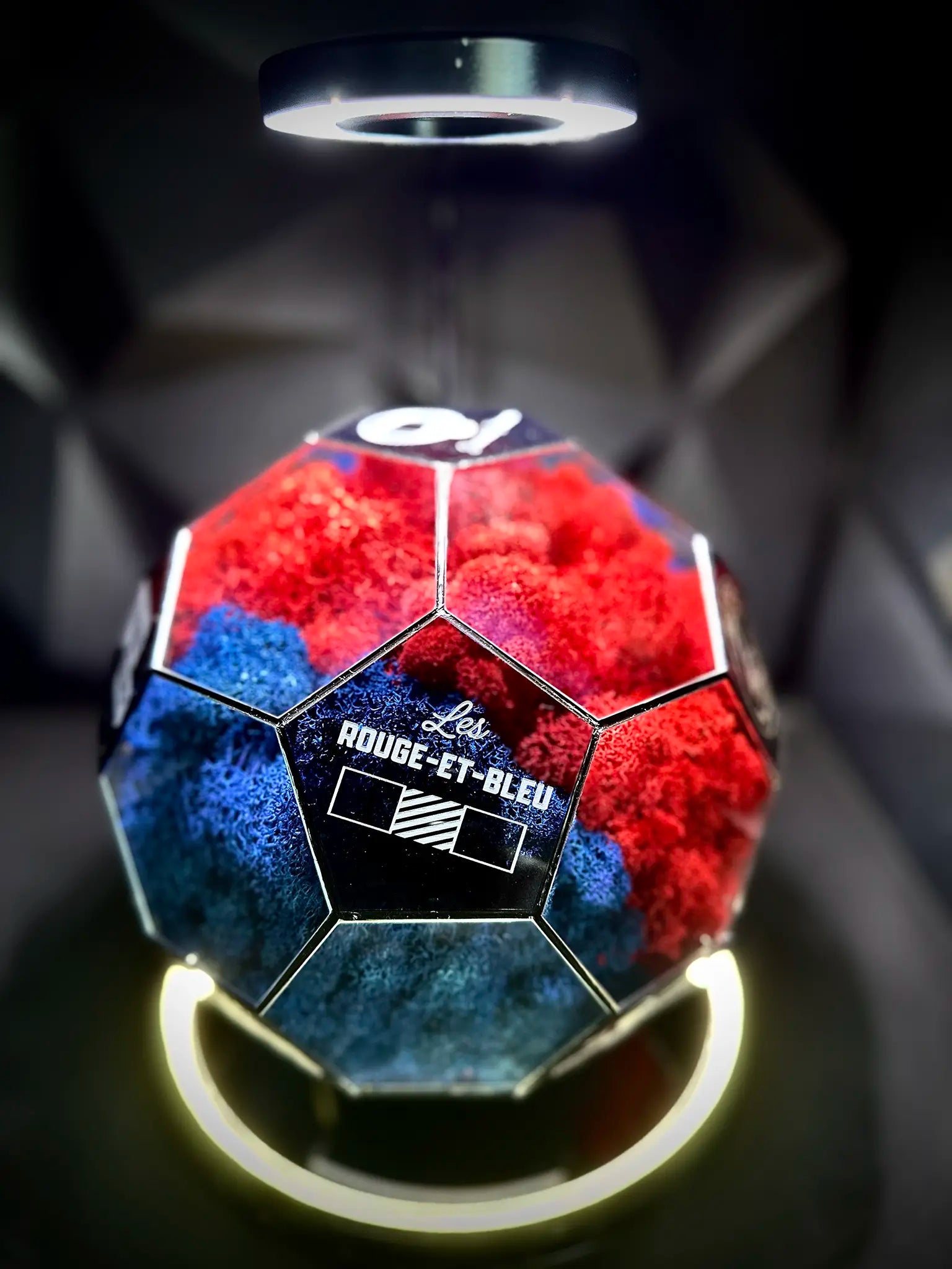 Paris Saint-Germain F.C. ball (red/blue)