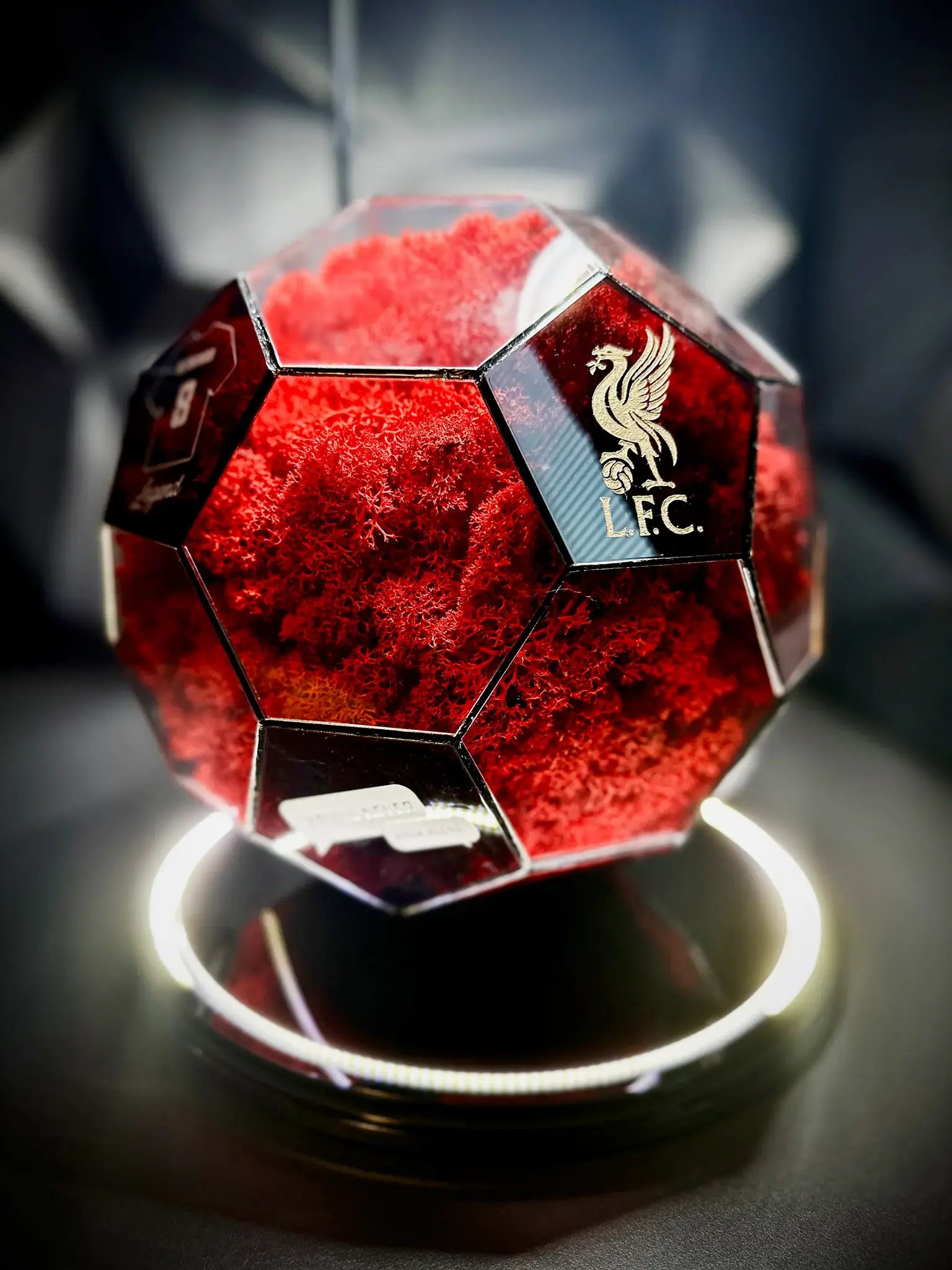 Liverpool F.C. ball (red)