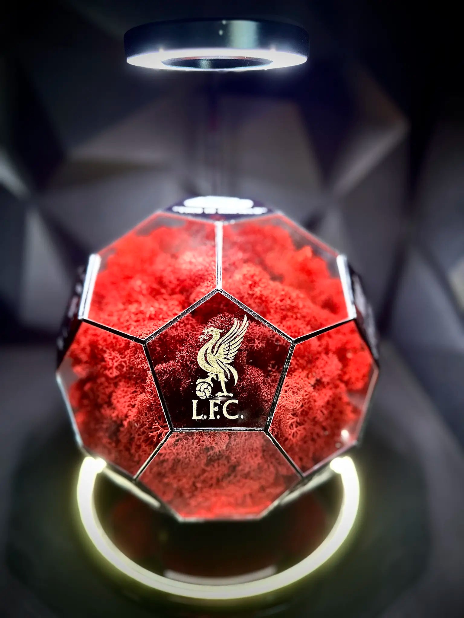 Liverpool F.C. ball (red)