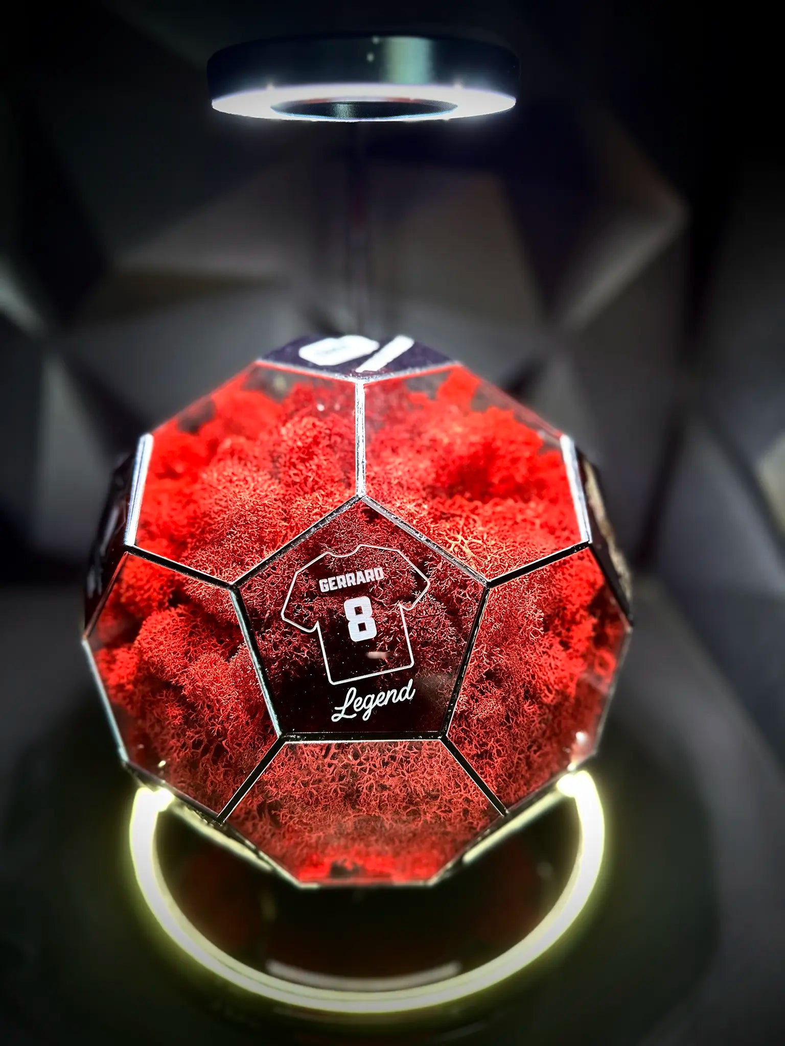 Liverpool F.C. ball (red)