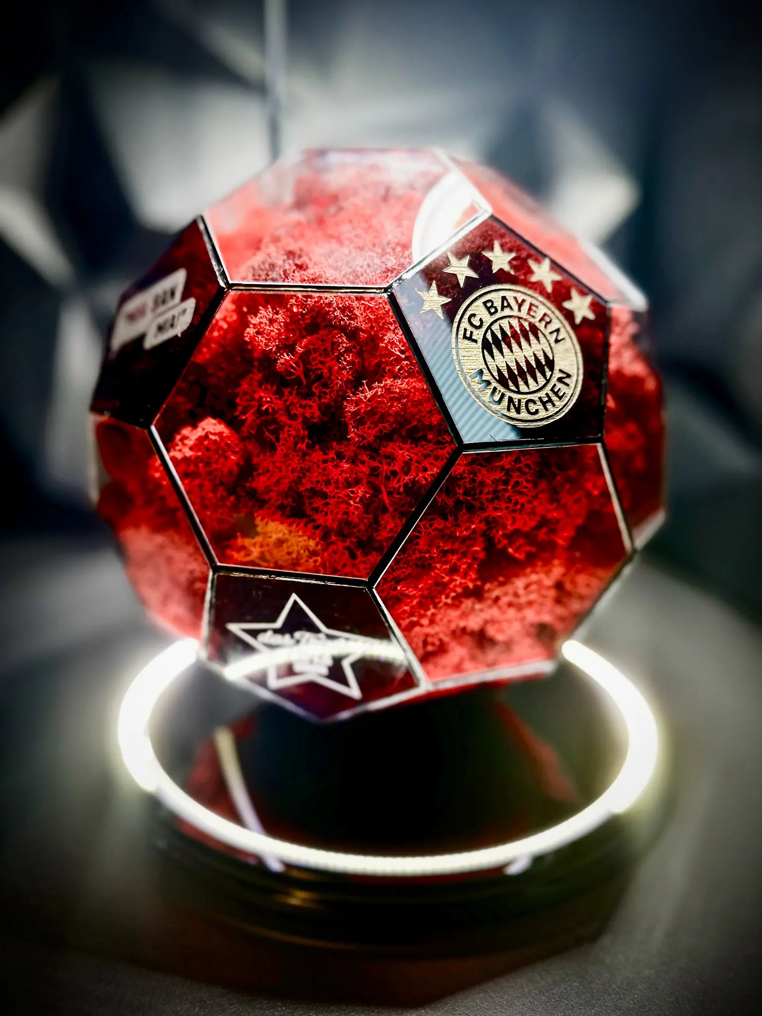 FC Bayern Munich ball (red)