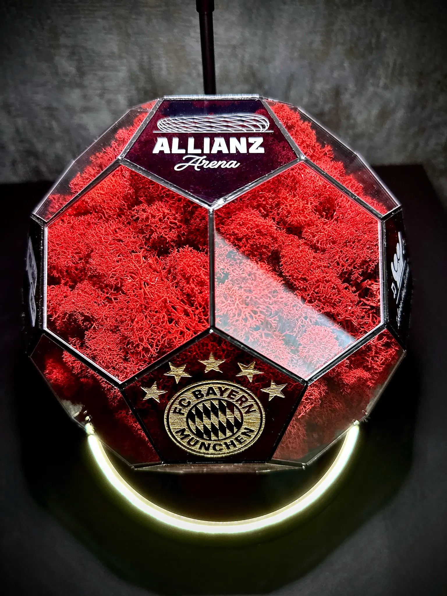 FC Bayern Munich ball (red)