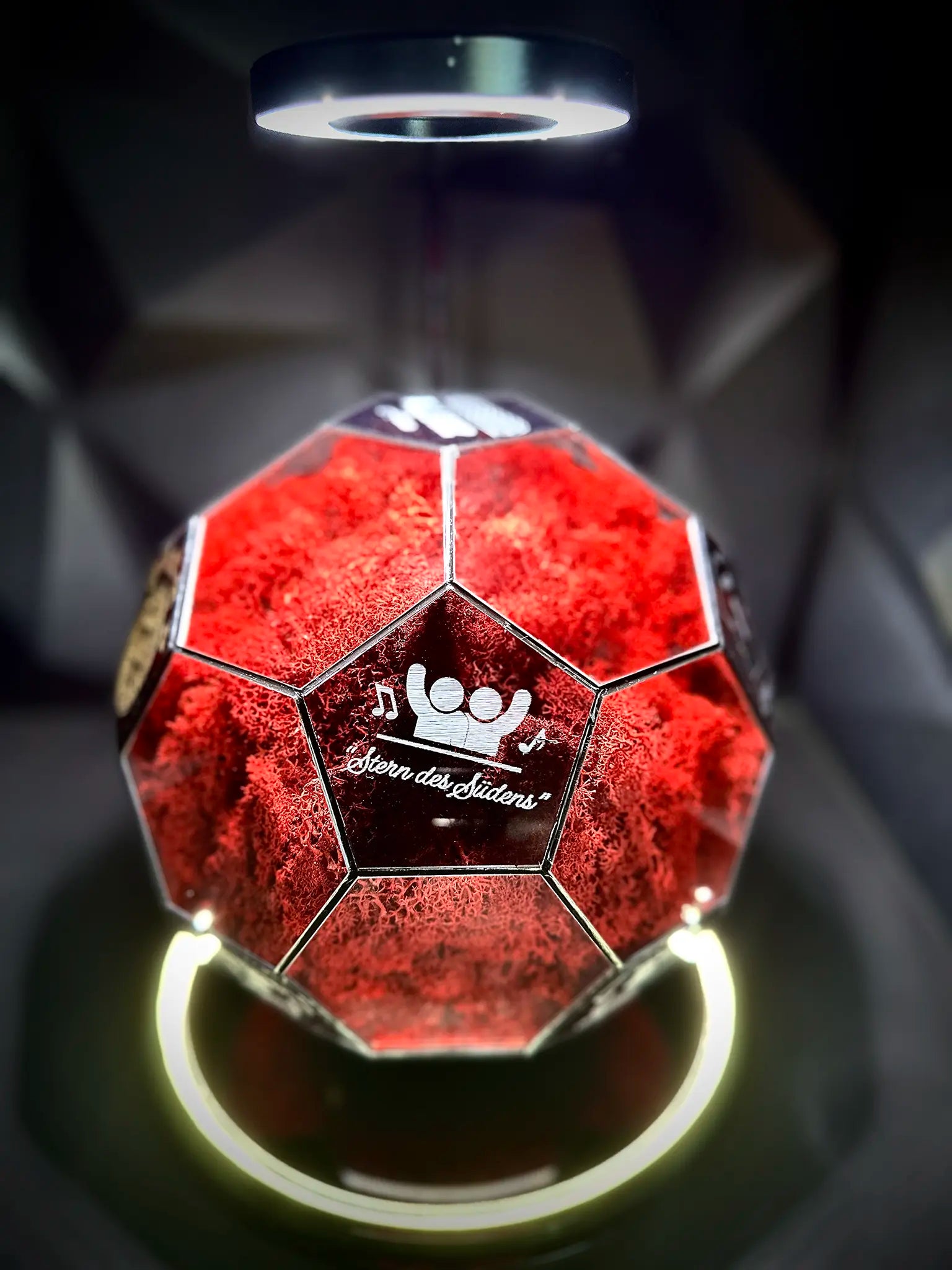 FC Bayern Munich ball (red)