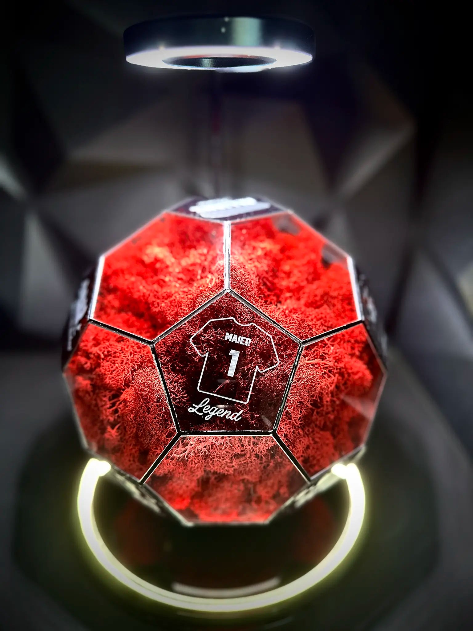 FC Bayern Munich ball (red)