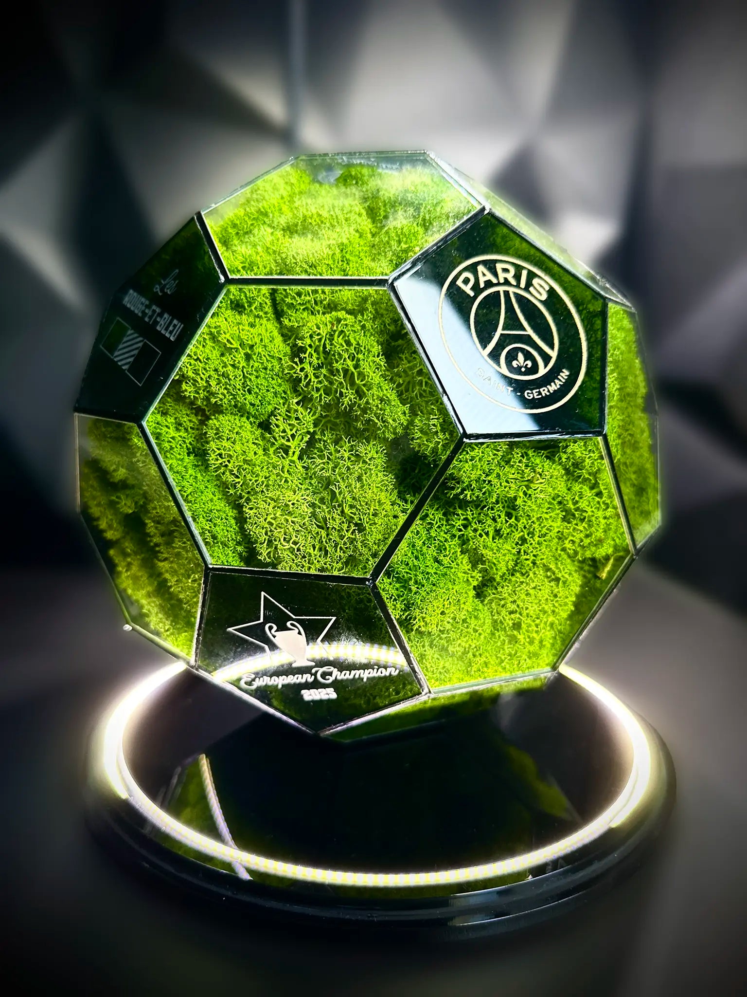 Paris Saint-Germain F.C. ball (grass green)