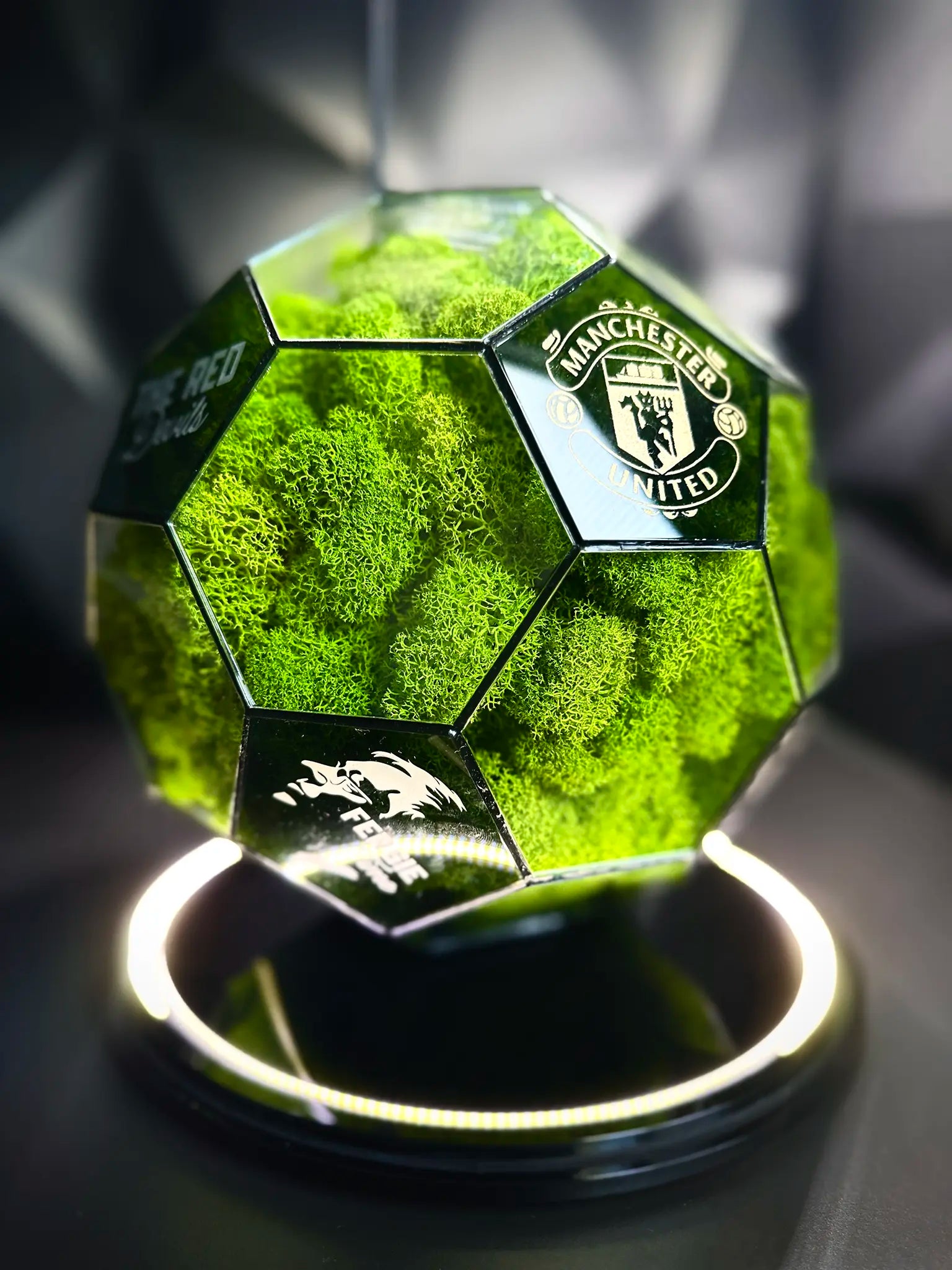 Manchester United F.C. ball (grass green)