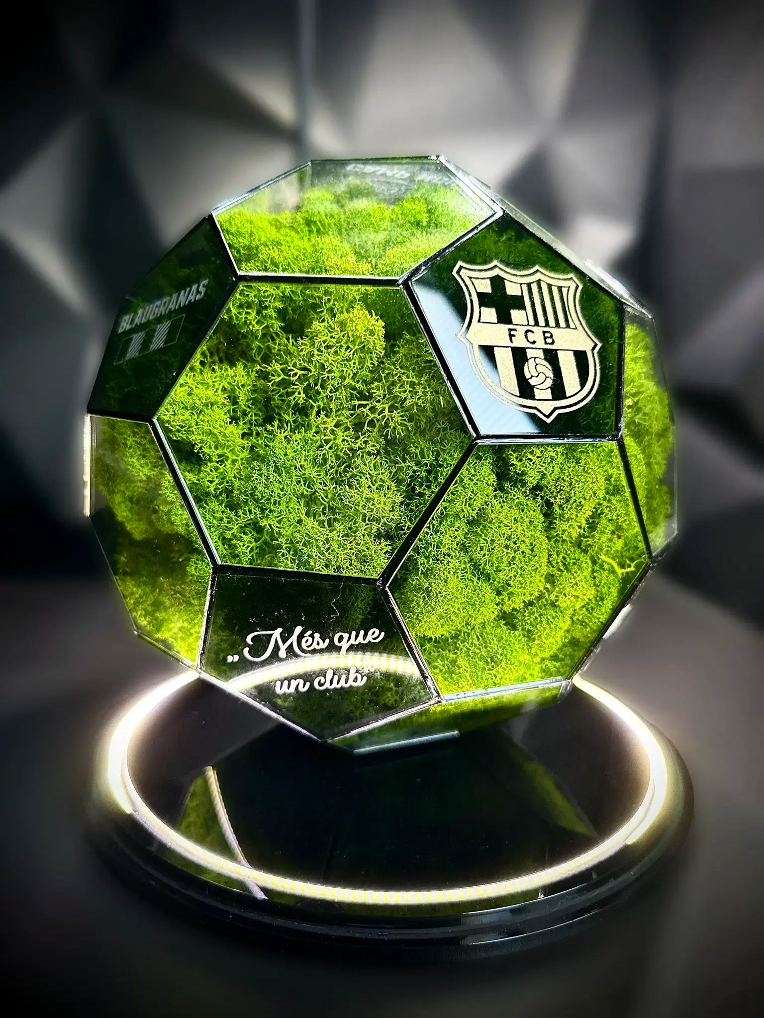 FC Barcelona ball (grass green)