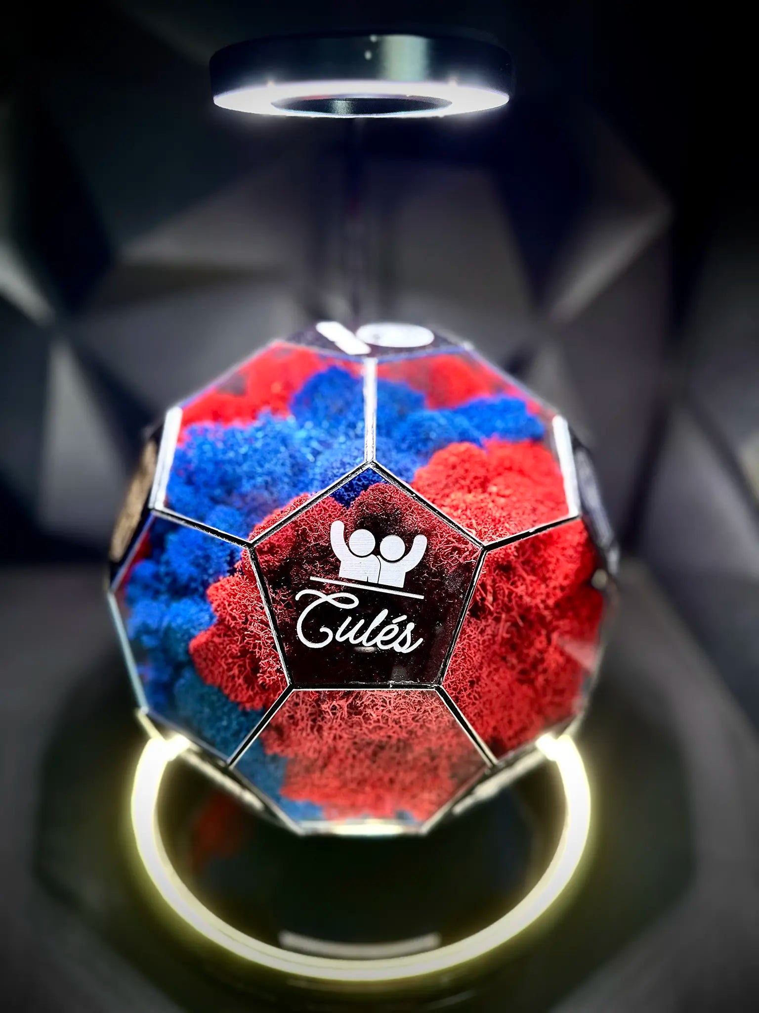 FC Barcelona ball (red/blue)