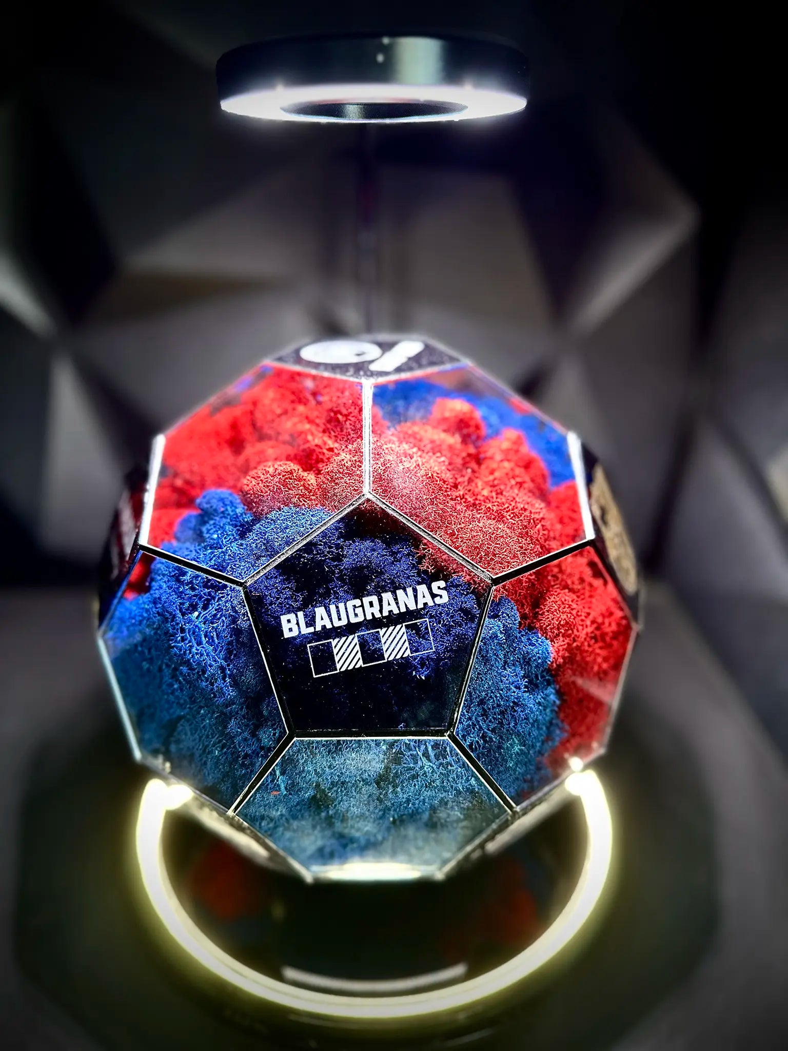 FC Barcelona ball (red/blue)