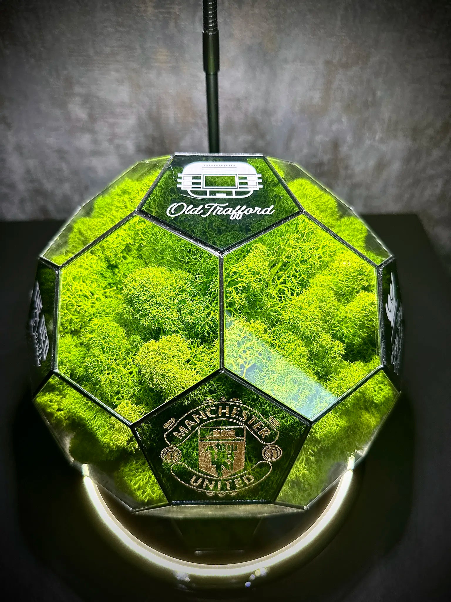Manchester United F.C. ball (grass green)