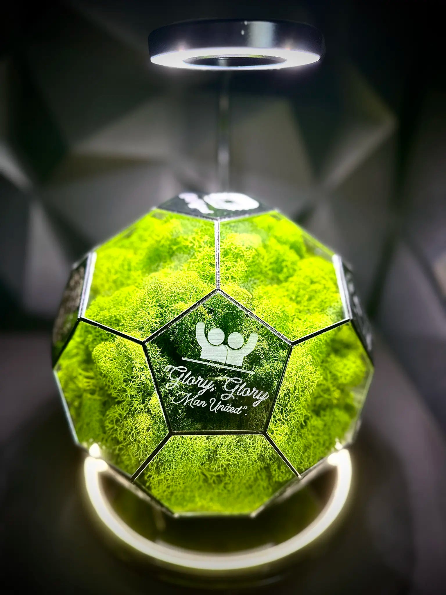 Manchester United F.C. ball (grass green)