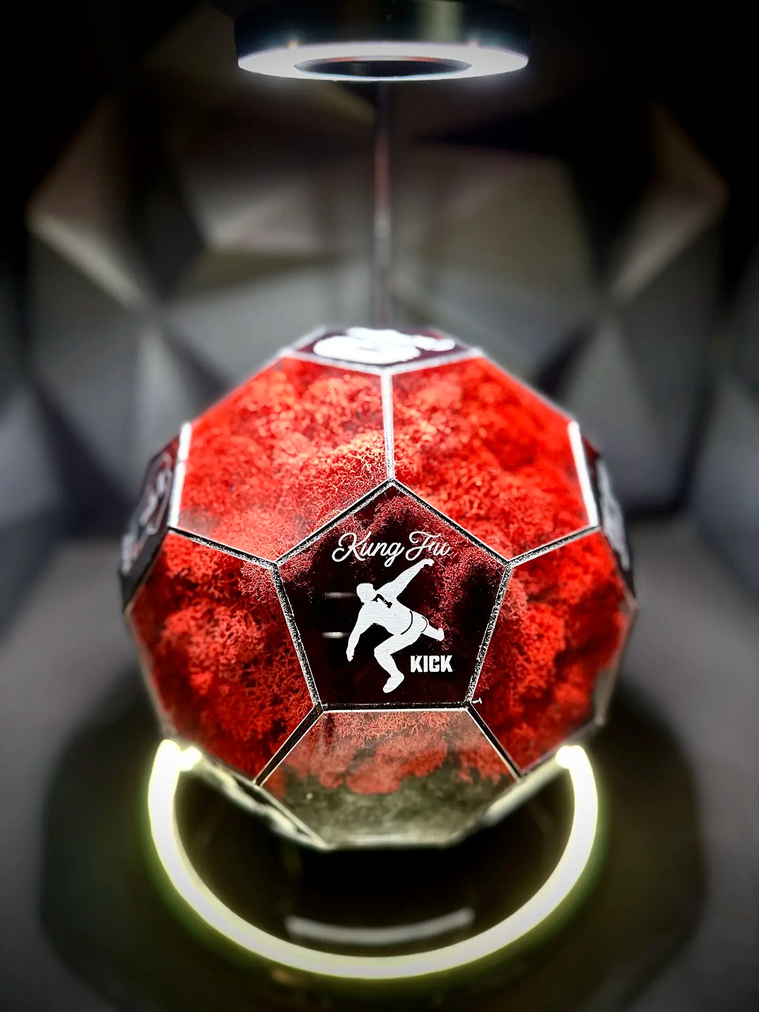 Manchester United F.C. ball (red/black)