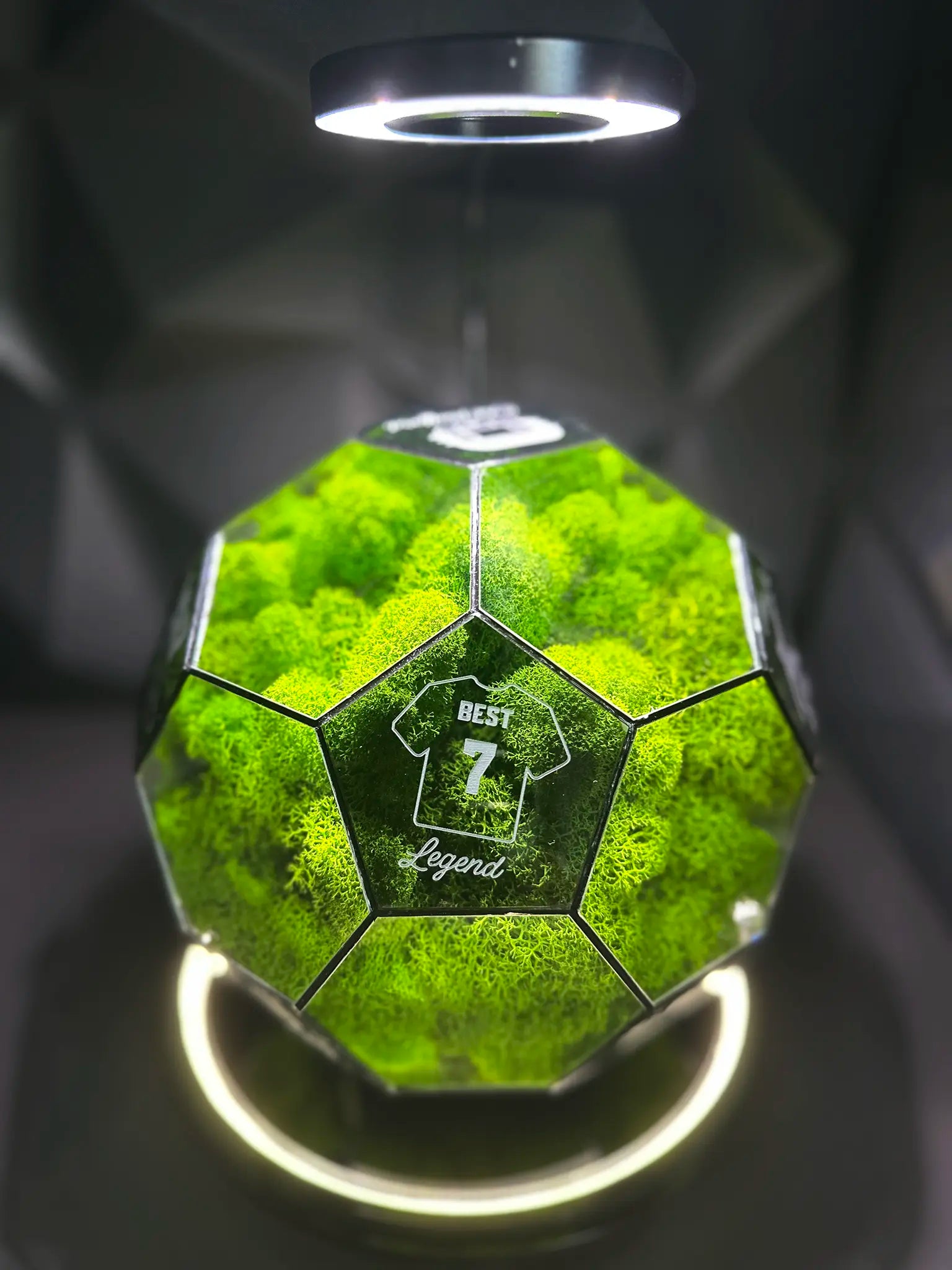 Manchester United F.C. ball (grass green)
