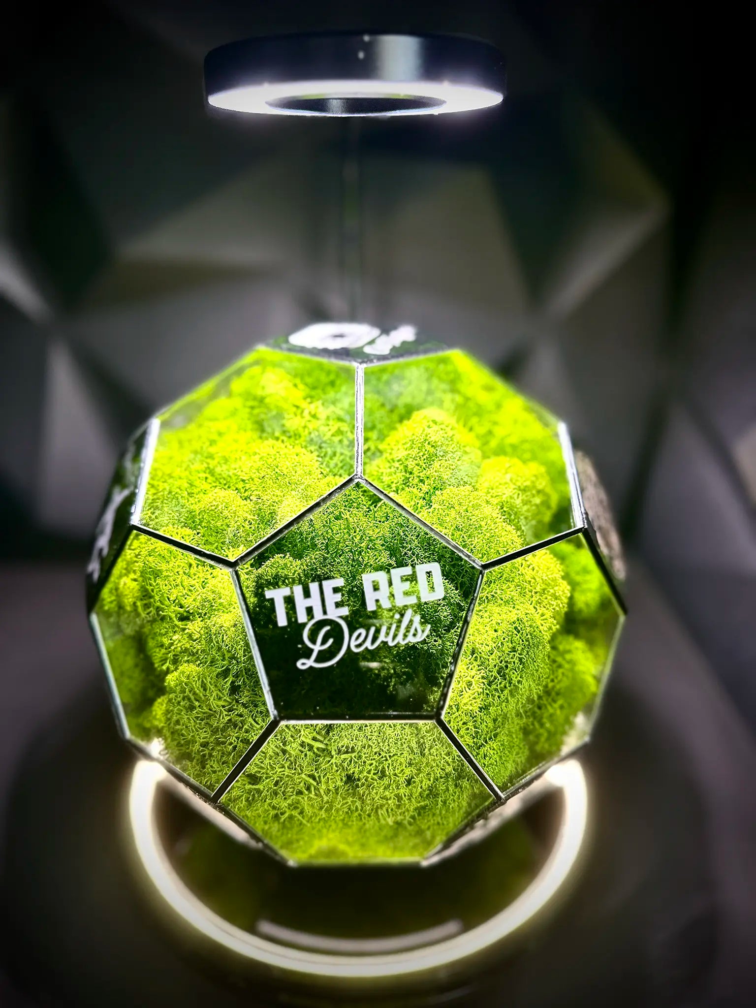 Manchester United F.C. ball (grass green)