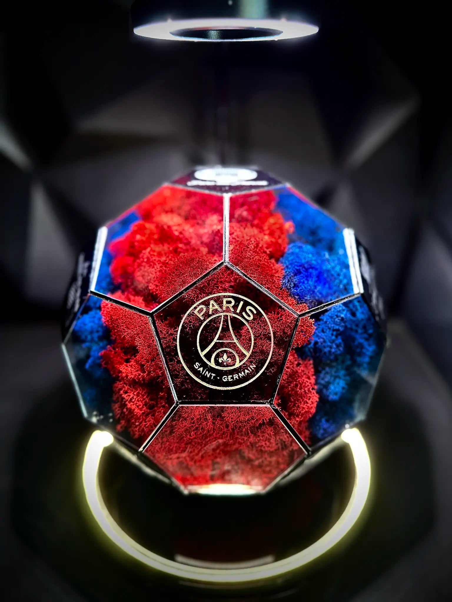 Paris Saint-Germain F.C. ball (red/blue)