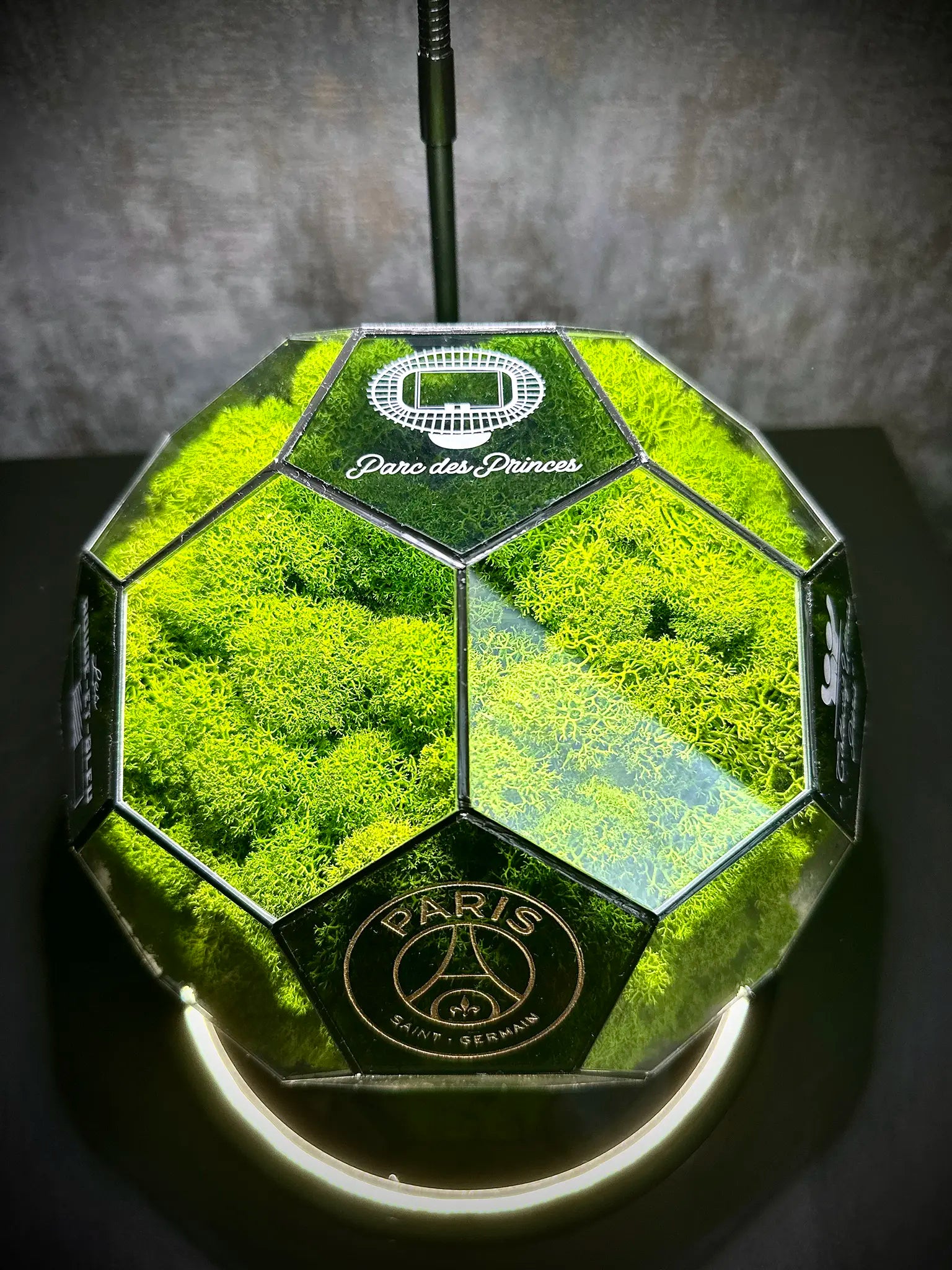 Paris Saint-Germain F.C. ball (grass green)