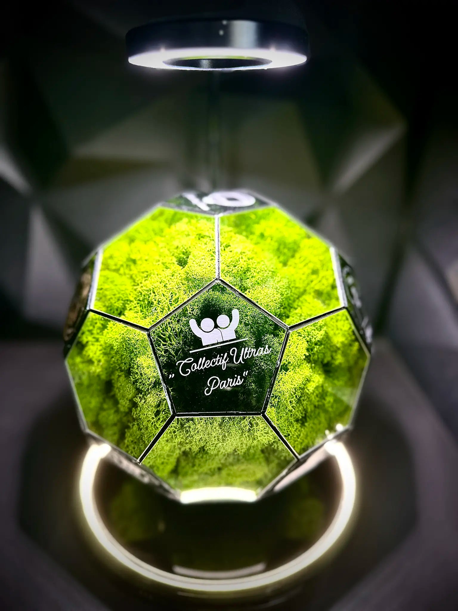 Paris Saint-Germain F.C. ball (grass green)