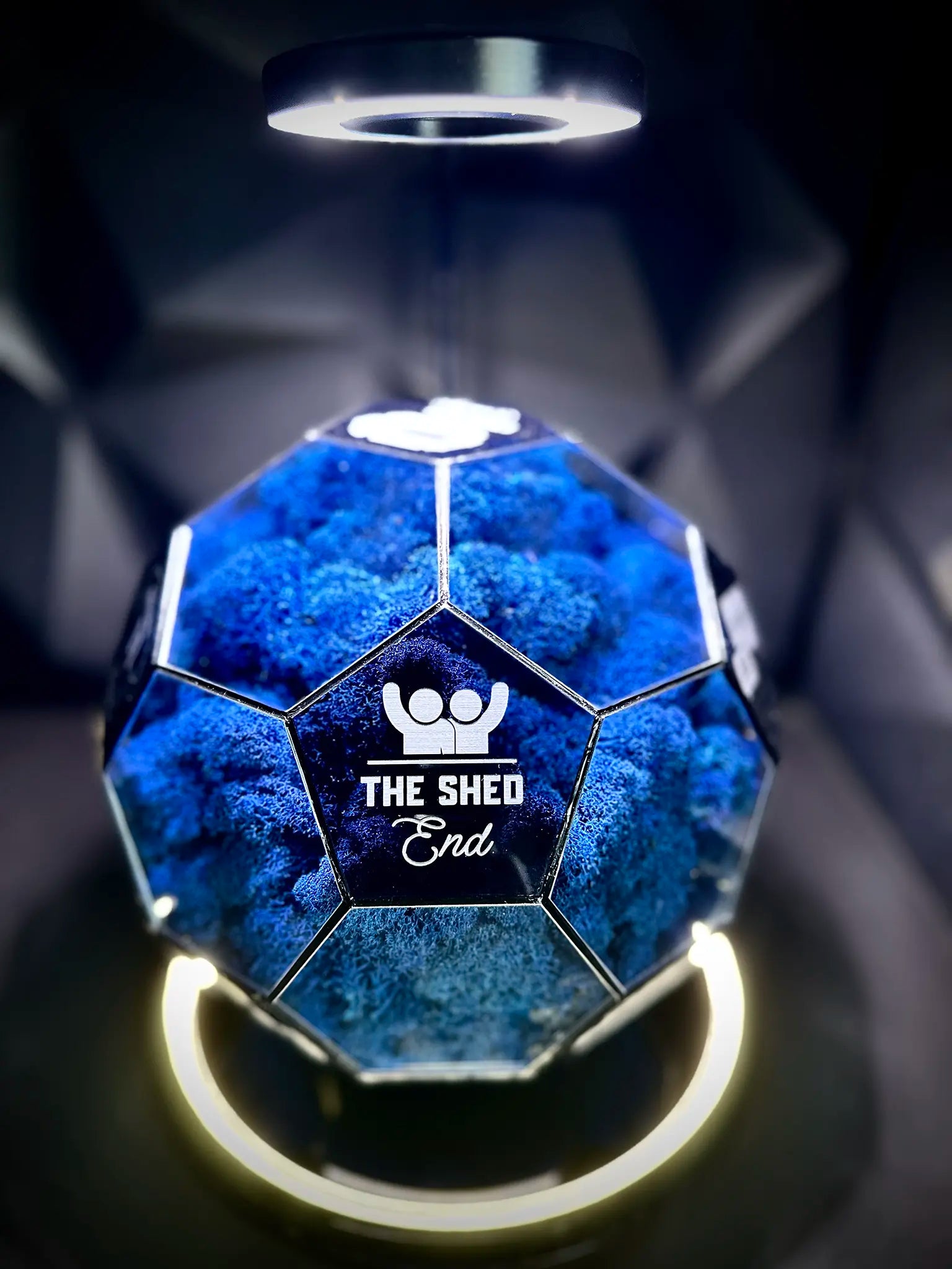 Chelsea F.C. ball (blue)