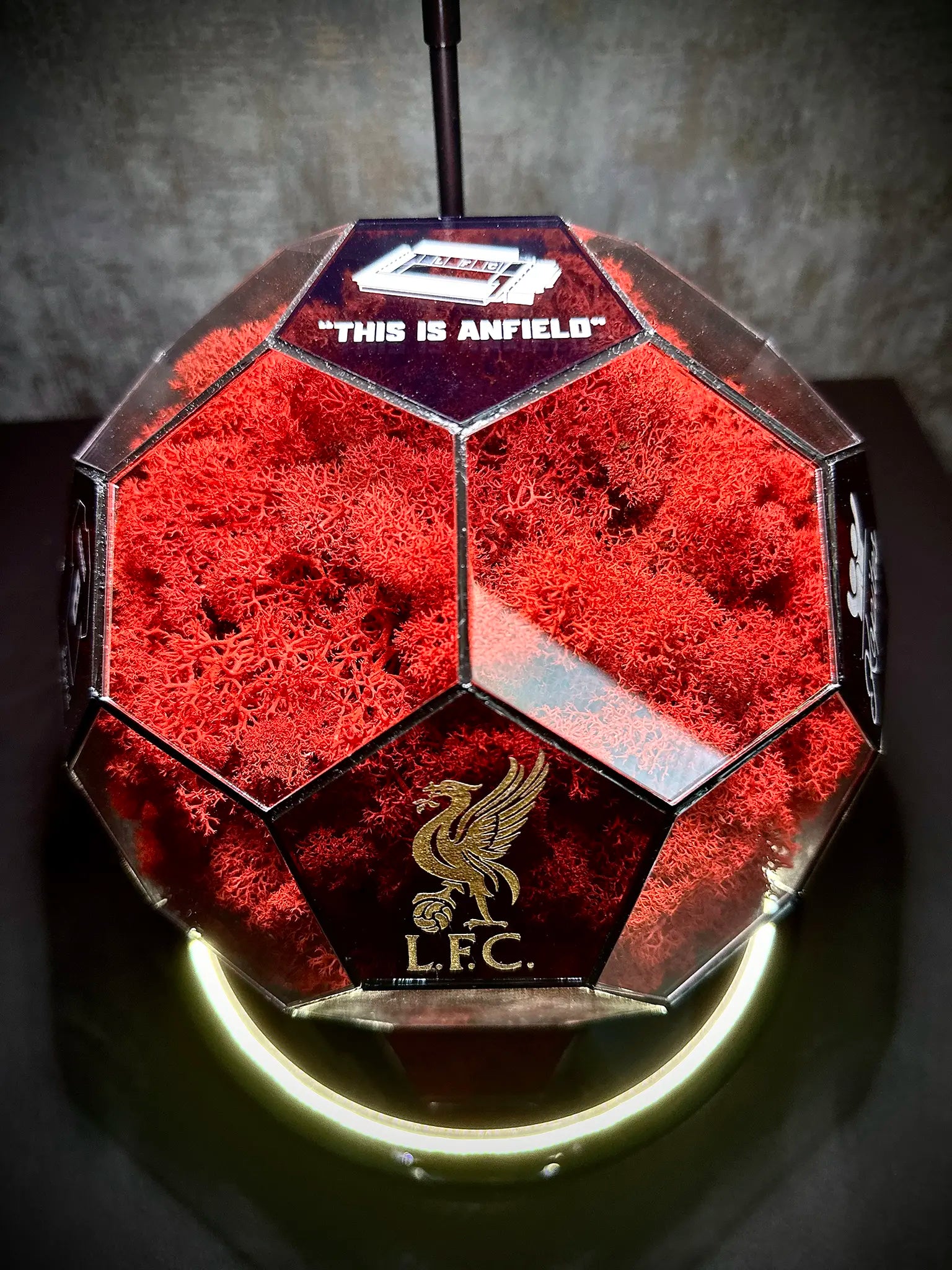 Liverpool F.C. ball (red)