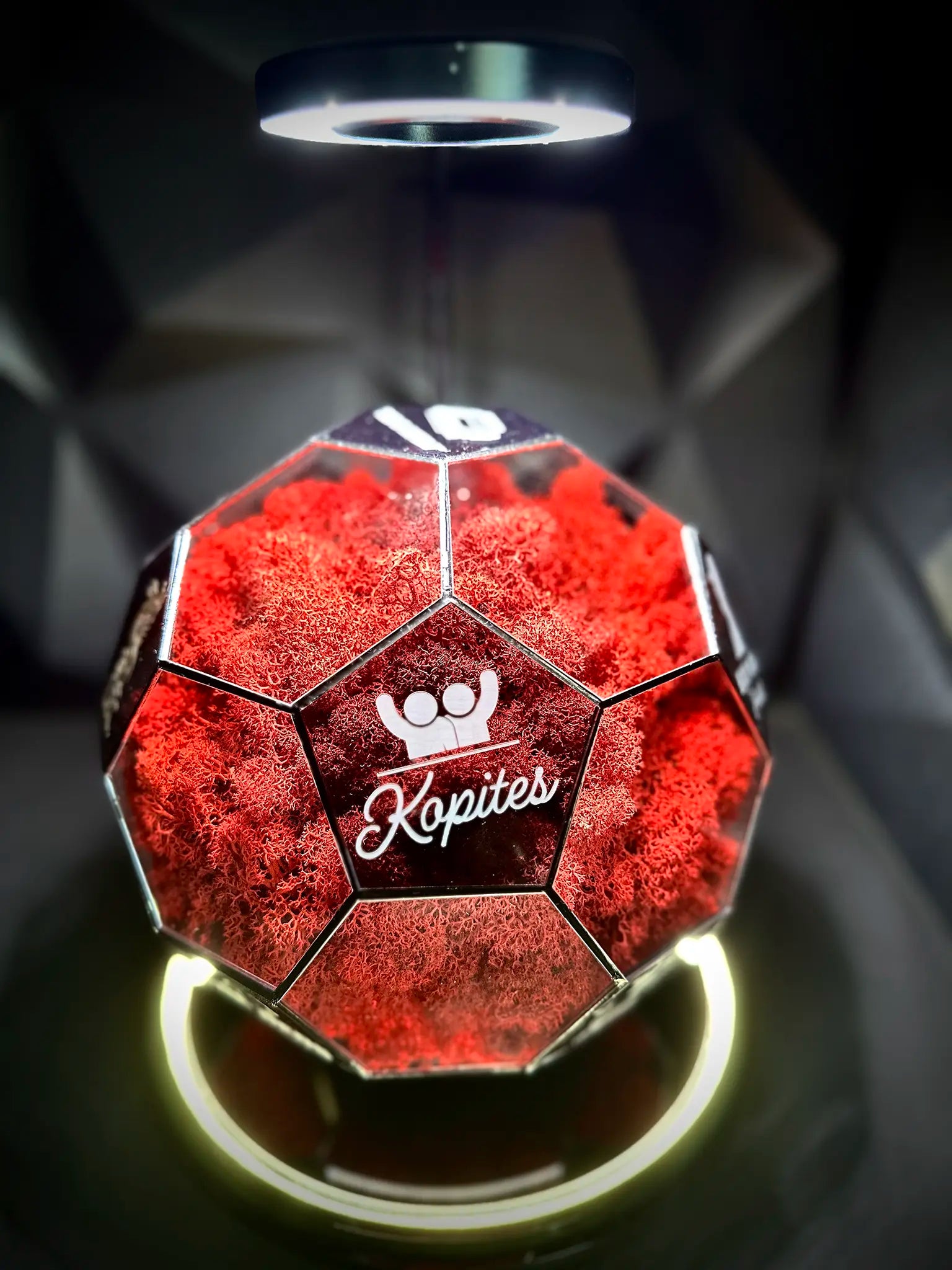 Liverpool F.C. ball (red)