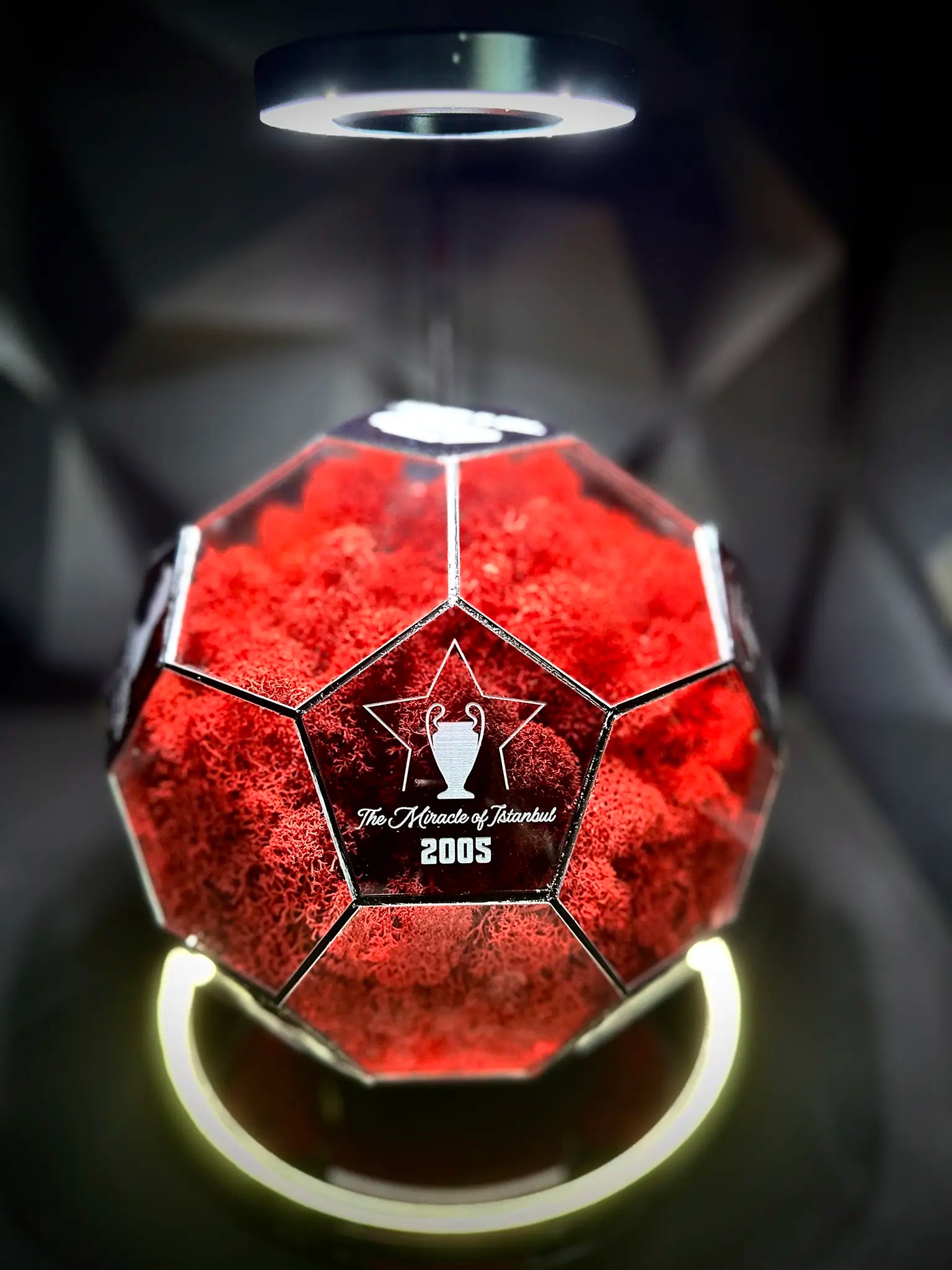 Liverpool F.C. ball (red)