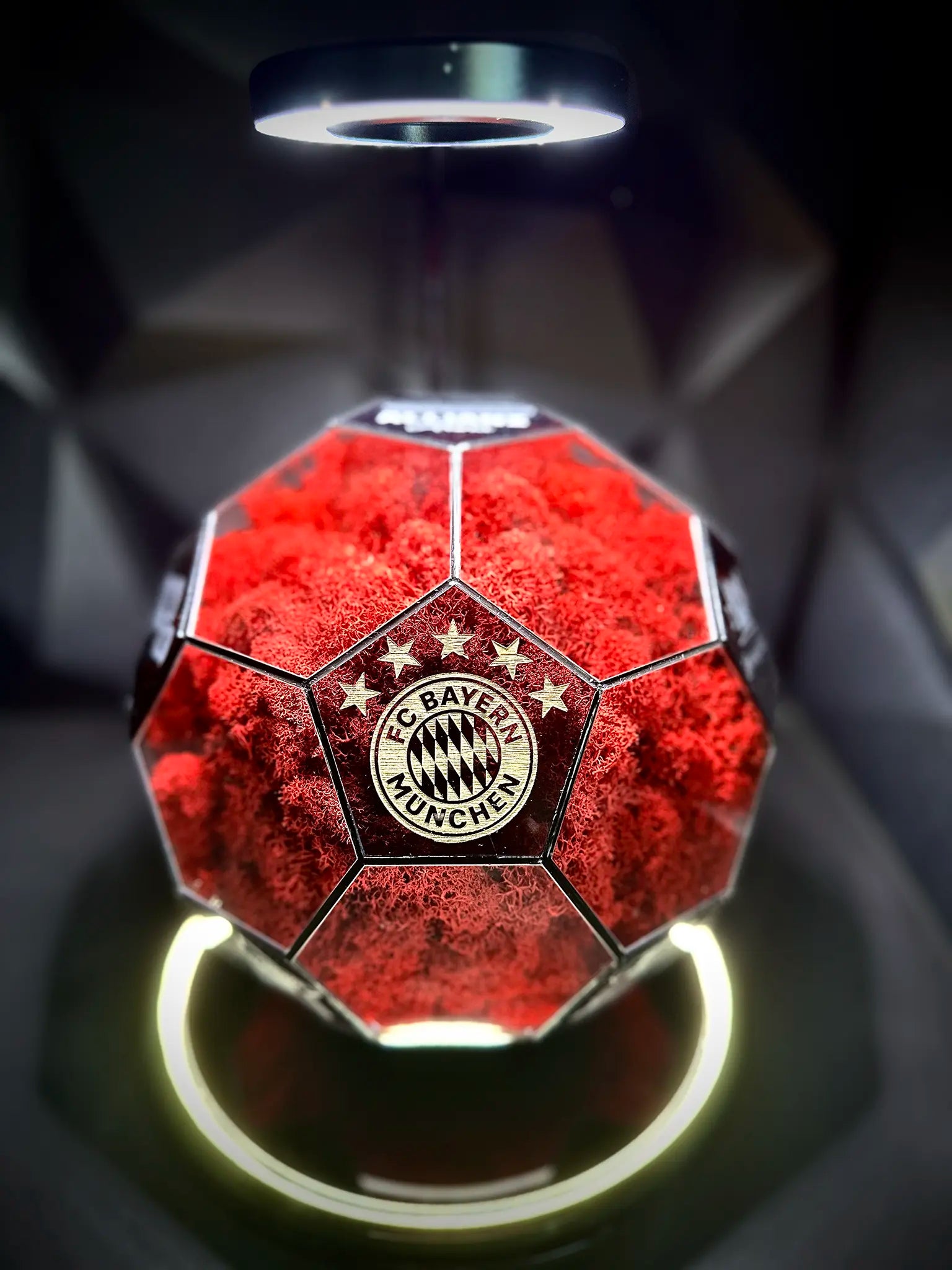 FC Bayern Munich ball (red)
