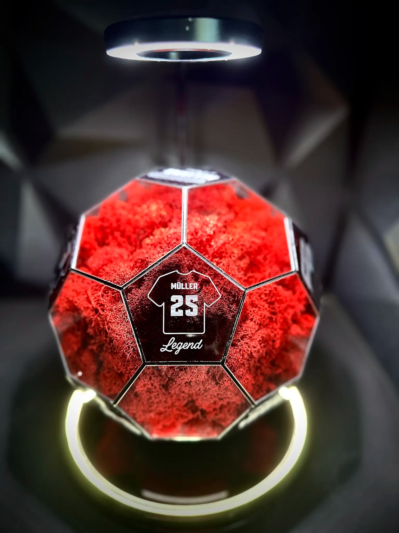 FC Bayern Munich ball (red)