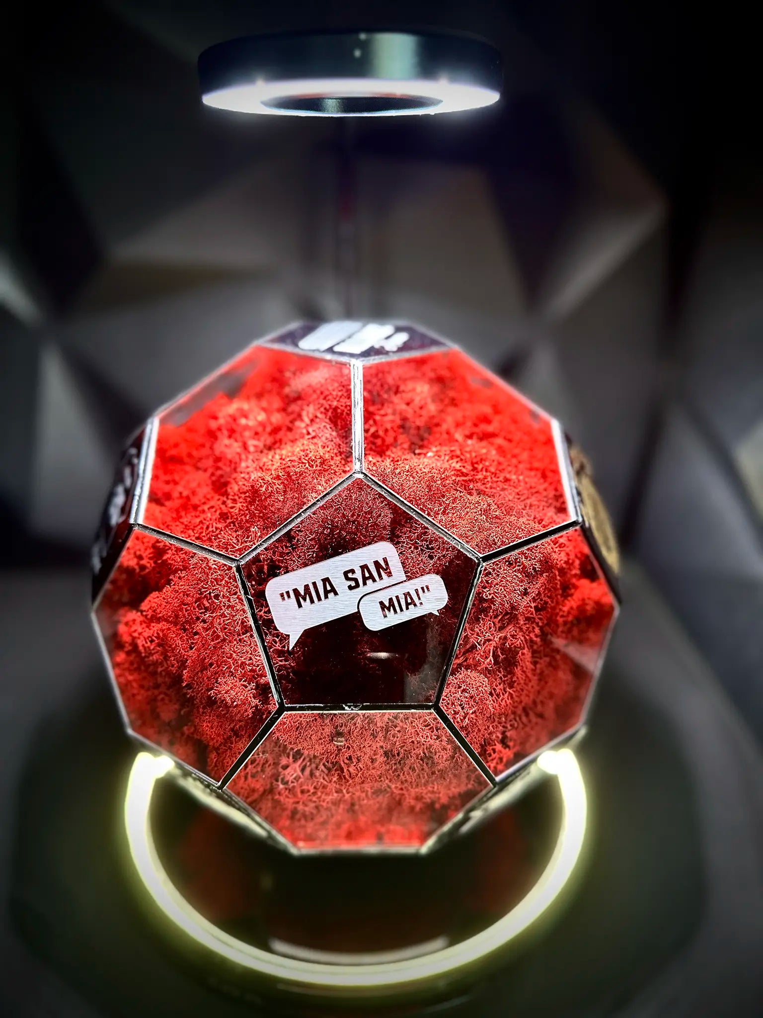 FC Bayern Munich ball (red)